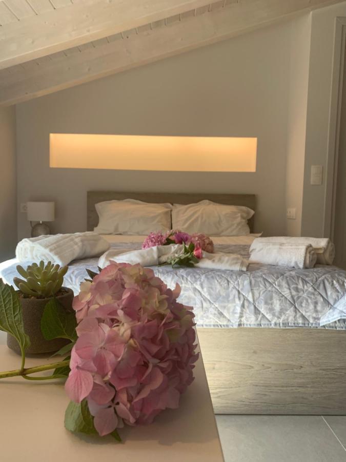 Terpsichore Boutique Bright New Sofita Studios And Appartment 다시아 외부 사진