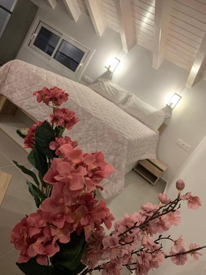 Terpsichore Boutique Bright New Sofita Studios And Appartment 다시아 외부 사진