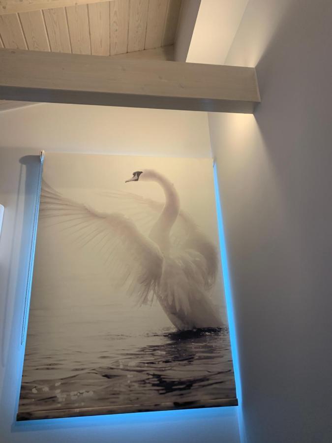 Terpsichore Boutique Bright New Sofita Studios And Appartment 다시아 외부 사진